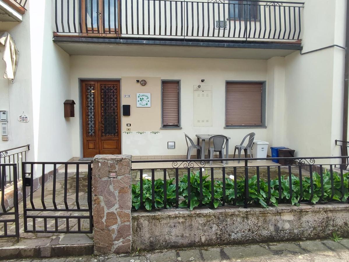 Tuscany Break Gallicano Exterior foto